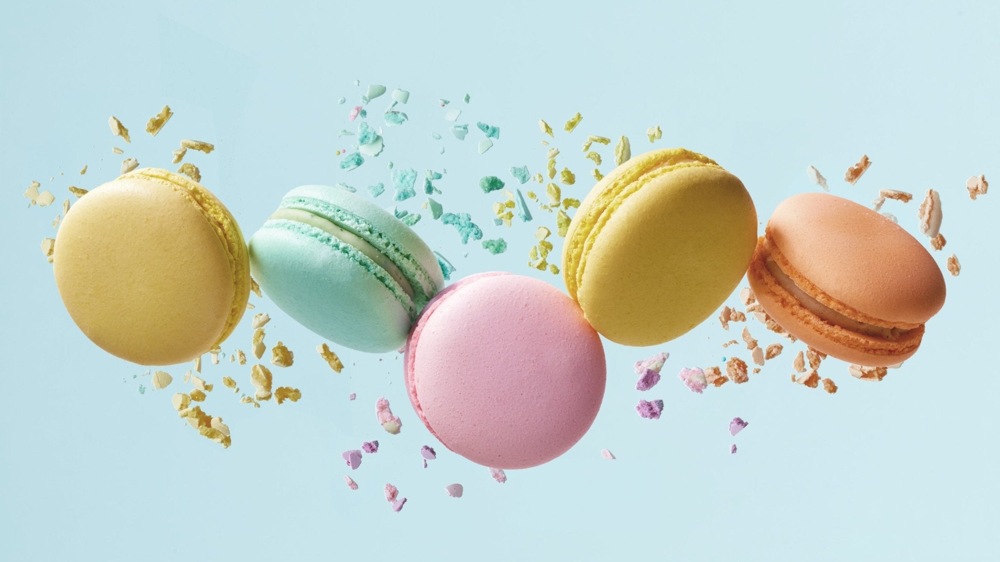 Macaron Collection - Clawcreature - Handmade Press-on Nails