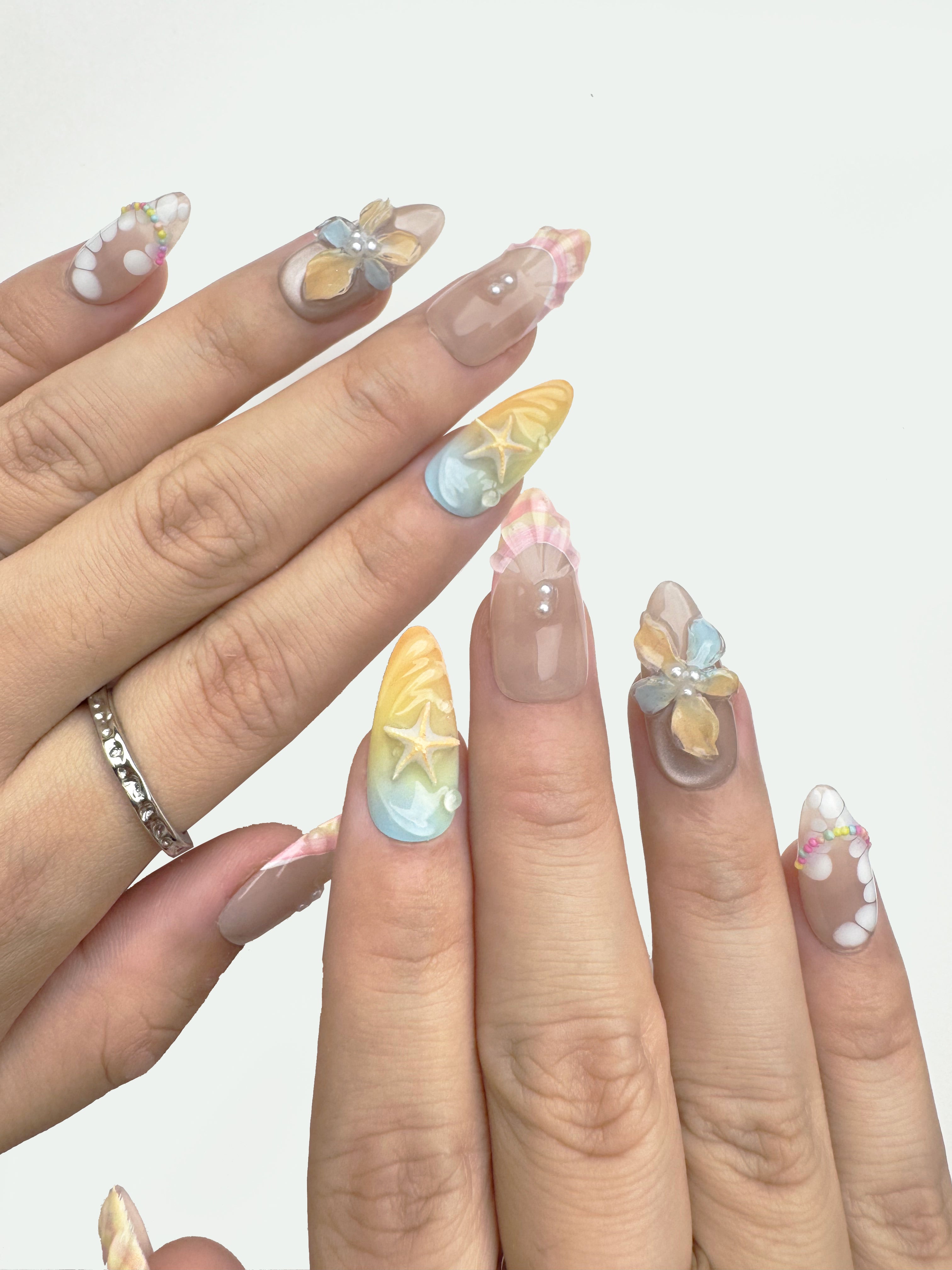 Seashell Dream