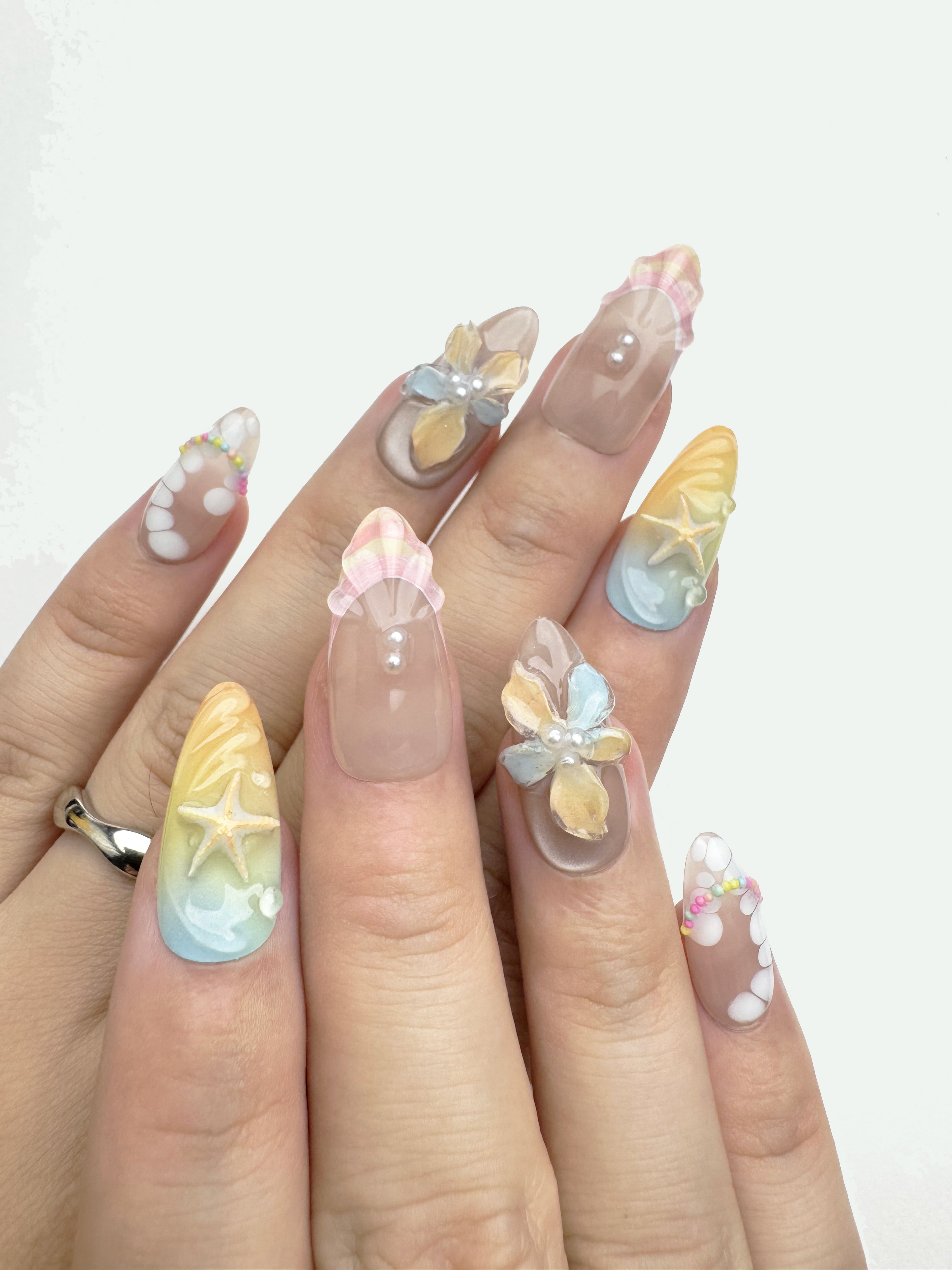 Seashell Dream